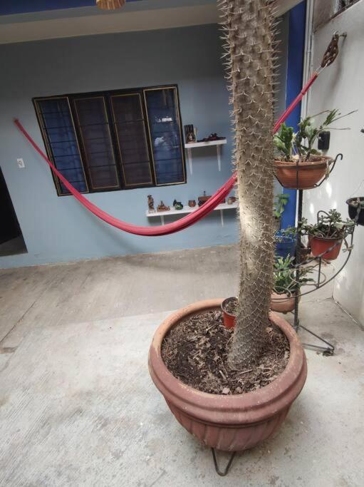 Apartment The Azul Flat